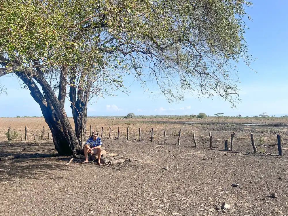 Anggrayudi resting under a lone tree on a sunlit open plain