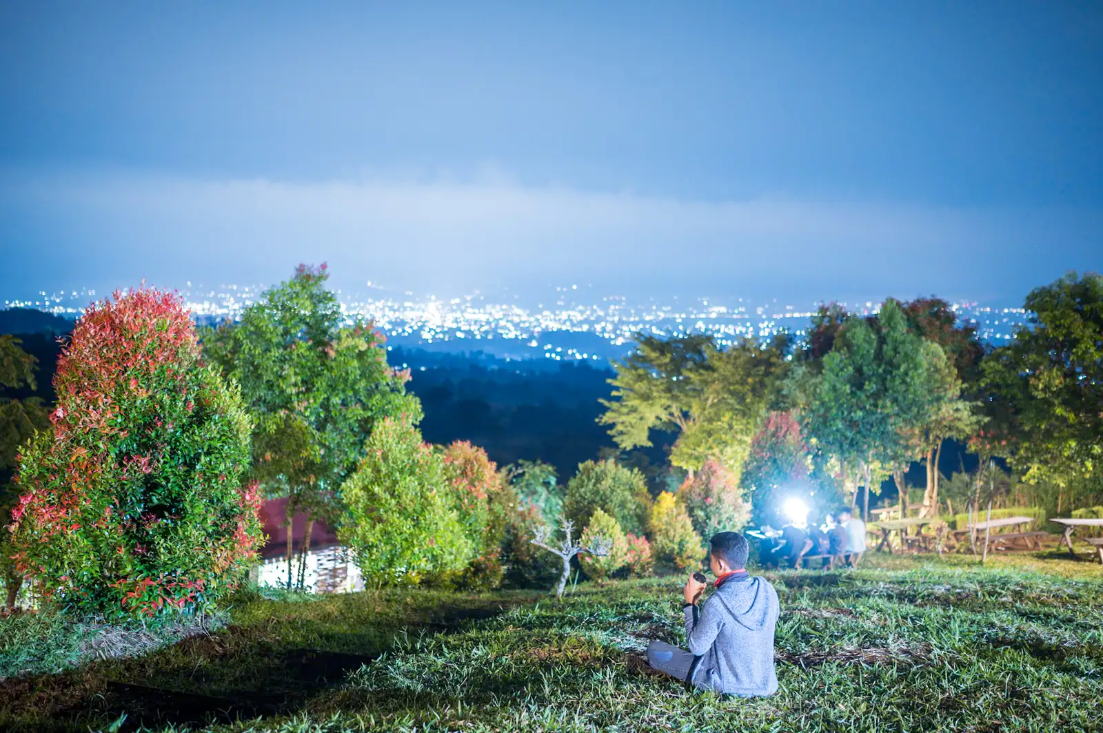 Autumn trees glowing orange in front of distant snow-dusted mountains