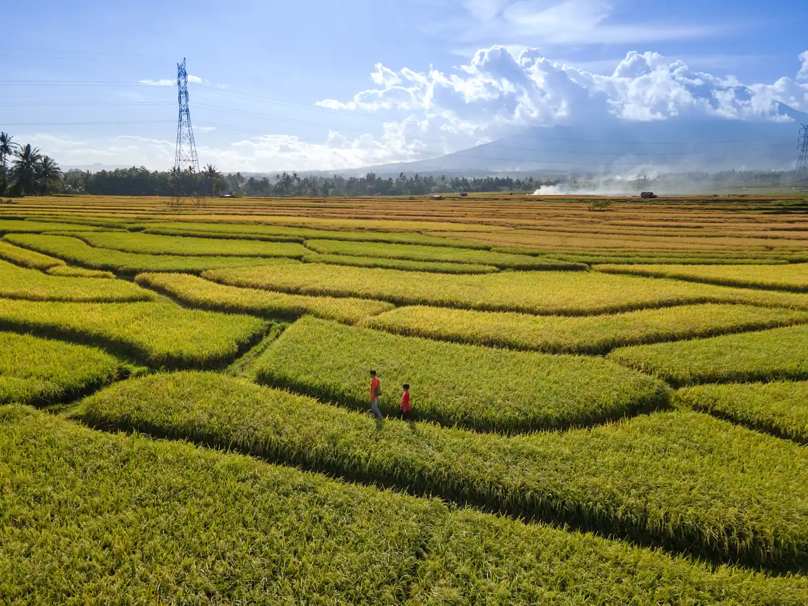 Anggrayudi visiting the Gojek office lobby